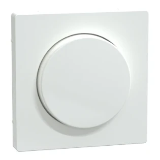 Schneider Electric - Bedieningselement /centraalplaat schakelmateriaal - MEG5250-6035 MEG5250-6035 12194278