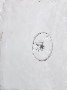 Schnabl - Deksel voor dozen voor montage in de wand/plafond - 12100 12100 12516851