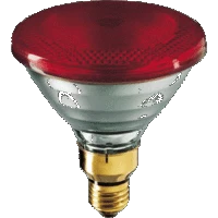 Philips - IR-lamp - PAR38 IR 175W E27 230V RED 1CT/12 8711500600530 139285