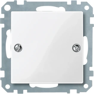 Schneider Electric - Onderdeel/centraalplaat communicatie-schakelmateriaal - 461819 461819 14108490