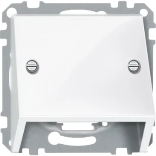 Schneider Electric - Onderdeel/centraalplaat communicatie-schakelmateriaal - 464919 464919 14160937