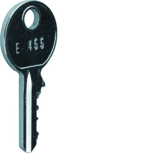 Hager - Sleutel voor kast/lessenaar - FZ456 FZ456 164494