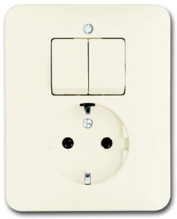 ABB - Schakelaar/wandcontactdoos combinatie - 4310/5 EUJ-212-503 2CKA001611A0011 17347235