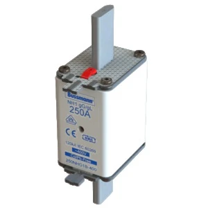 Eaton - Smeltpatroon (mes) - NH FUSE 250A 400V GG/GL SIZE 1 250NHG1B-400 182984