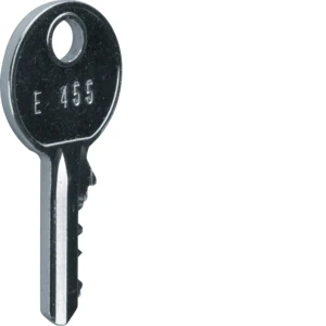 Hager - Sleutel voor kast/lessenaar - FZ456 FZ456 2177589