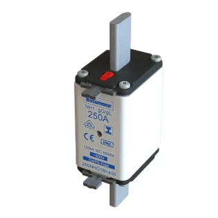 Eaton - Smeltpatroon (mes) - NH FUSE 200A 500V GL/GG SIZE 1 200NHG1BI 2238688