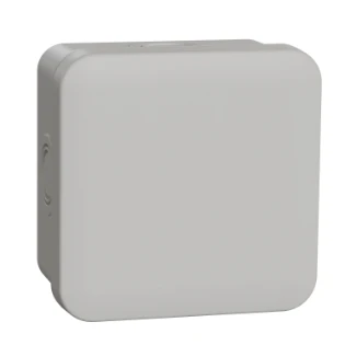 Schneider Electric - Doos voor montage op de wand/plafond - ENN05084 ENN05084 2300809