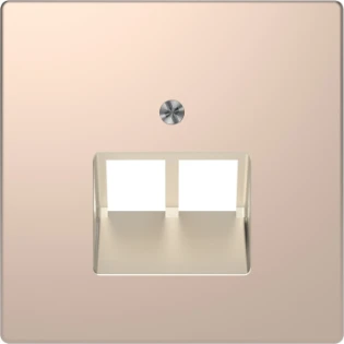 Schneider Electric - Onderdeel/centraalplaat communicatie-schakelmateriaal - MTN4522-6051 MTN4522-6051 2306890