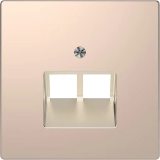 Schneider Electric - Onderdeel/centraalplaat communicatie-schakelmateriaal - MTN4522-6051 MTN4522-6051 2309193