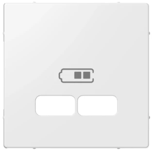 Schneider Electric - Onderdeel/centraalplaat communicatie-schakelmateriaal - MTN4367-0319 MTN4367-0319 2309199