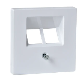 Schneider Electric - Onderdeel/centraalplaat communicatie-schakelmateriaal - MTN296125 MTN296125 2312277