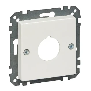 Schneider Electric - Onderdeel/centraalplaat communicatie-schakelmateriaal - MTN393819 MTN393819 2312420