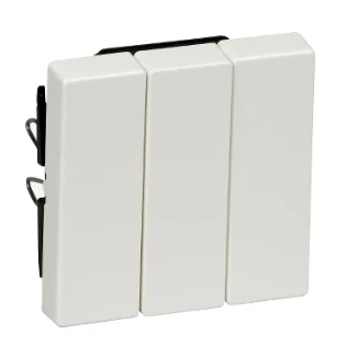 Schneider Electric - Bedieningselement /centraalplaat schakelmateriaal - MTN312619 MTN312619 2313224