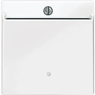 Schneider Electric - Bedieningselement /centraalplaat schakelmateriaal - MTN315619 MTN315619 2313870