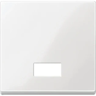 Schneider Electric - Bedieningselement /centraalplaat schakelmateriaal - MTN432819 MTN432819 2313911