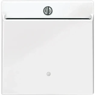 Schneider Electric - Bedieningselement /centraalplaat schakelmateriaal - MTN315619 MTN315619 2314012