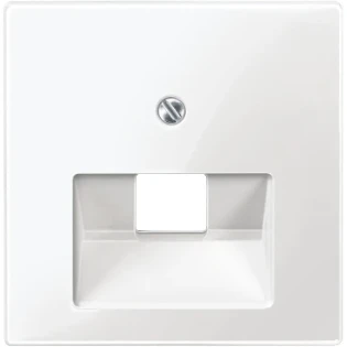 Schneider Electric - Onderdeel/centraalplaat communicatie-schakelmateriaal - MTN296219 MTN296219 2314138