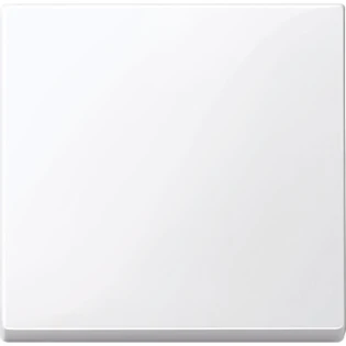 Schneider Electric - Bedieningselement /centraalplaat schakelmateriaal - MTN432125 MTN432125 2314417