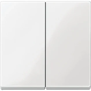 Schneider Electric - Bedieningselement /centraalplaat schakelmateriaal - MTN432519 MTN432519 2314428