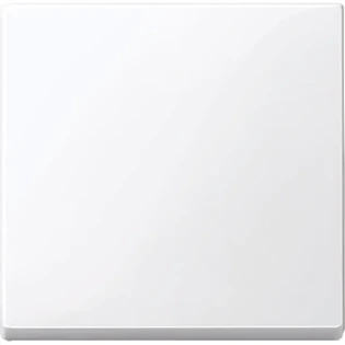 Schneider Electric - Bedieningselement /centraalplaat schakelmateriaal - MTN432125 MTN432125 2314749