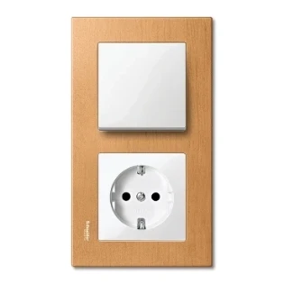 Schneider Electric - Bedieningselement /centraalplaat schakelmateriaal - MTN432119 MTN432119 2316480
