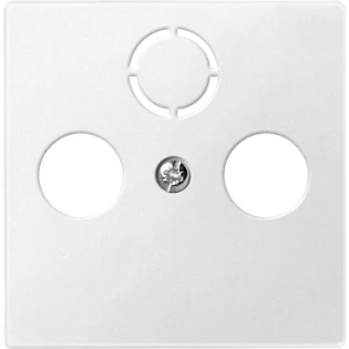 Schneider Electric - Onderdeel/centraalplaat communicatie-schakelmateriaal - 297519 297519 2323603