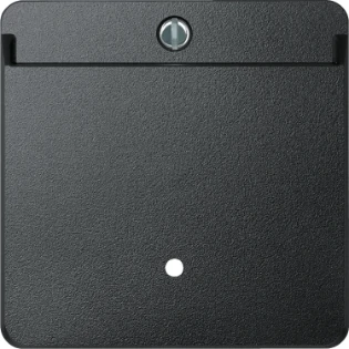 Schneider Electric - Bedieningselement /centraalplaat schakelmateriaal - 315414 315414 2323852