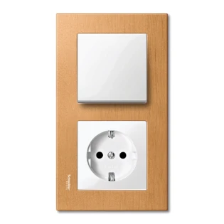 Schneider Electric - Bedieningselement /centraalplaat schakelmateriaal - MTN432119 MTN432119 2334532