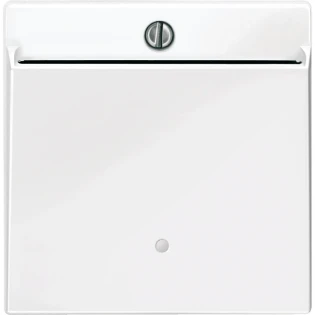 Schneider Electric - Bedieningselement /centraalplaat schakelmateriaal - MTN315619 MTN315619 2334735