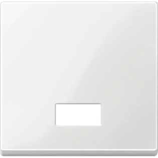 Schneider Electric - Bedieningselement /centraalplaat schakelmateriaal - MTN432819 MTN432819 2334898