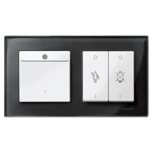 Schneider Electric - Bedieningselement /centraalplaat schakelmateriaal - MTN315619 MTN315619 2335157