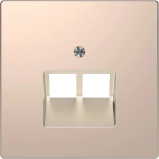 Schneider Electric - Onderdeel/centraalplaat communicatie-schakelmateriaal - MTN4522-6051 MTN4522-6051 2337443