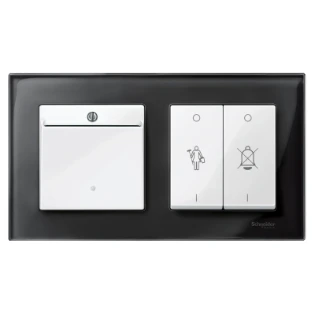 Schneider Electric - Bedieningselement /centraalplaat schakelmateriaal - MTN315619 MTN315619 2340599