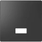 Schneider Electric - Bedieningselement /centraalplaat schakelmateriaal - MTN3350-6034 MTN3350-6034 2346368