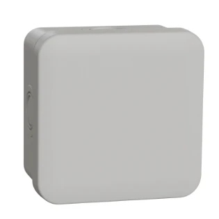 Schneider Electric - Doos voor montage op de wand/plafond - ENN05084 ENN05084 2350079