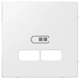Schneider Electric - Onderdeel/centraalplaat communicatie-schakelmateriaal - MTN4367-0319 MTN4367-0319 2351794