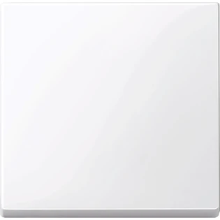 Schneider Electric - Bedieningselement /centraalplaat schakelmateriaal - MTN432125 MTN432125 2352308