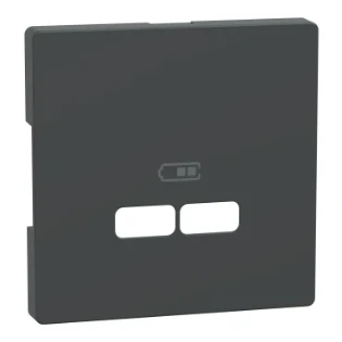 Schneider Electric - Onderdeel/centraalplaat communicatie-schakelmateriaal - MTN4367-6034 MTN4367-6034 2354351