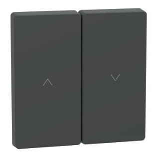 Schneider Electric - Bedieningselement /centraalplaat schakelmateriaal - MTN3855-6034 MTN3855-6034 2354577