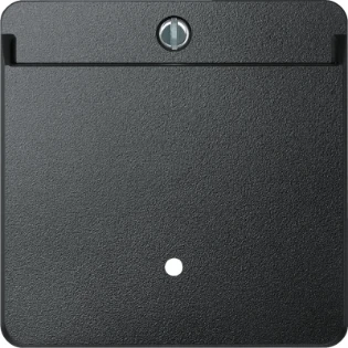 Schneider Electric - Bedieningselement /centraalplaat schakelmateriaal - 315414 315414 528487
