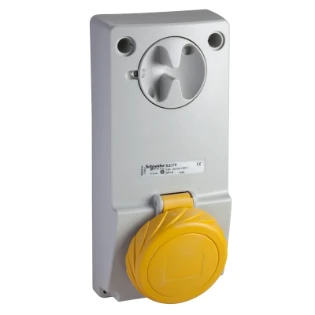 Schneider Electric - CEE-contactdoos uitschakelbaar, beveiligd (IEC 60309) - 82080 82080 529020