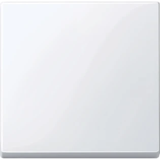 Schneider Electric - Bedieningselement /centraalplaat schakelmateriaal - MTN432125 MTN432125 540335