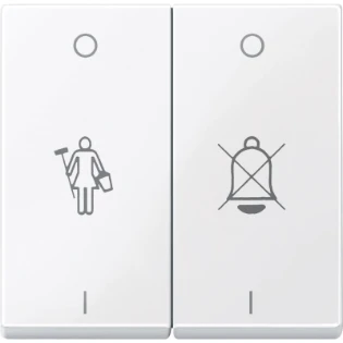 Schneider Electric - Bedieningselement /centraalplaat schakelmateriaal - MTN432625 MTN432625 540347
