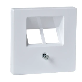 Schneider Electric - Onderdeel/centraalplaat communicatie-schakelmateriaal - MTN296125 MTN296125 540869