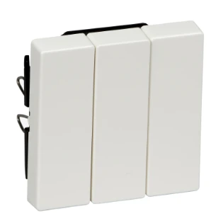 Schneider Electric - Bedieningselement /centraalplaat schakelmateriaal - MTN312619 MTN312619 540945