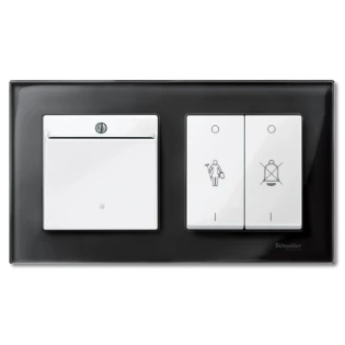 Schneider Electric - Bedieningselement /centraalplaat schakelmateriaal - MTN315619 MTN315619 540969