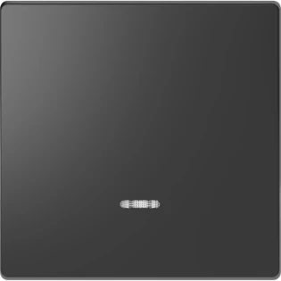 Schneider Electric - Bedieningselement /centraalplaat schakelmateriaal - MTN3320-6034 MTN3320-6034 541063
