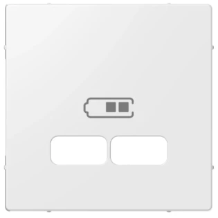 Schneider Electric - Onderdeel/centraalplaat communicatie-schakelmateriaal - MTN4367-0319 MTN4367-0319 541739
