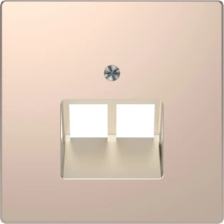Schneider Electric - Onderdeel/centraalplaat communicatie-schakelmateriaal - MTN4522-6051 MTN4522-6051 541811