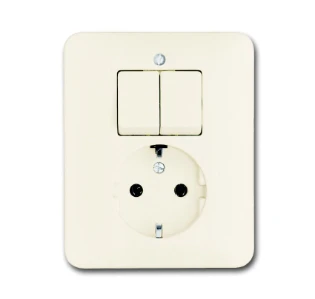 ABB - Schakelaar/wandcontactdoos combinatie - 4310/5 EUJ-212-503 2CKA001611A0011 583955